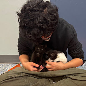 Meet your Posher, Anderson